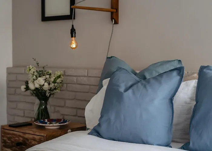 Apartamento It Is So Cool That Even Owen Wilson Loves La Roma *