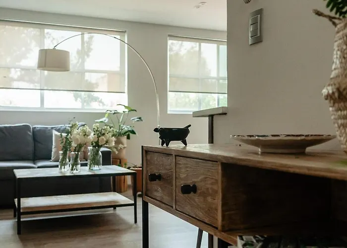 It Is So Cool That Even Owen Wilson Loves La Roma Apartamento México DF