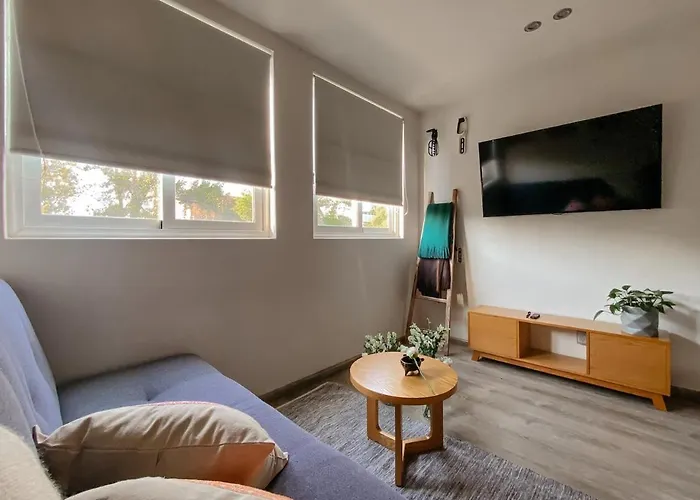 Apartamento It Is So Cool That Even Owen Wilson Loves La Roma México DF