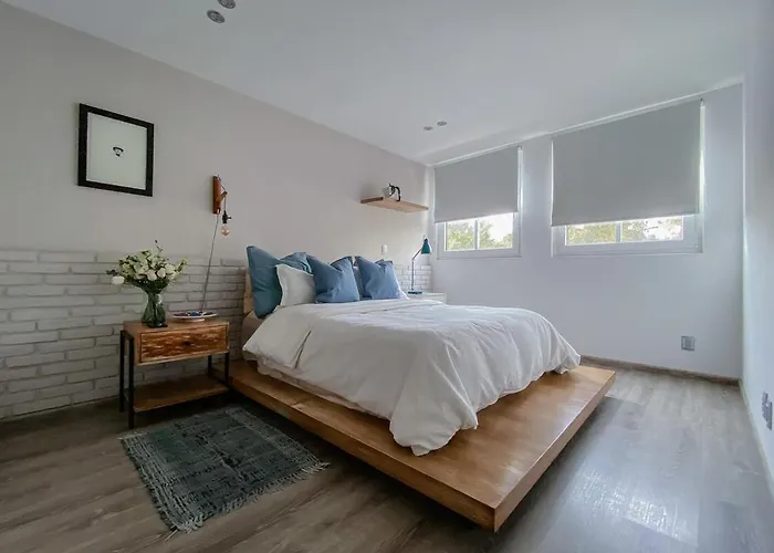 It Is So Cool That Even Owen Wilson Loves La Roma Apartamento México DF